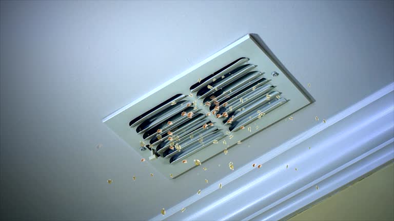 Best Home Air Vent Cleaning  in Carterville, MO